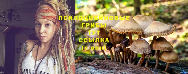 скорость Верея