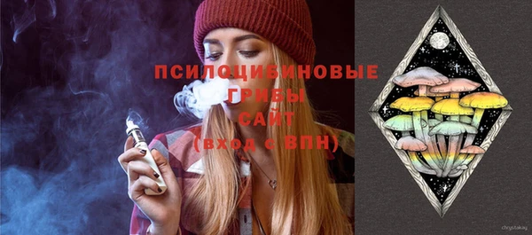 молекула духа Верхний Тагил